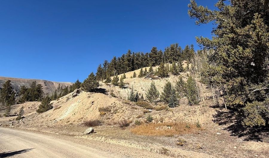 0 County Road 787, Alma, CO 80420 - 0 Beds, 0 Bath