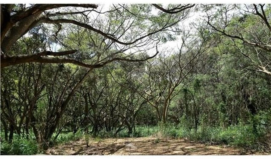 Kamehameha Highway lot 35, Haleiwa, HI 96712 - 0 Beds, 0 Bath