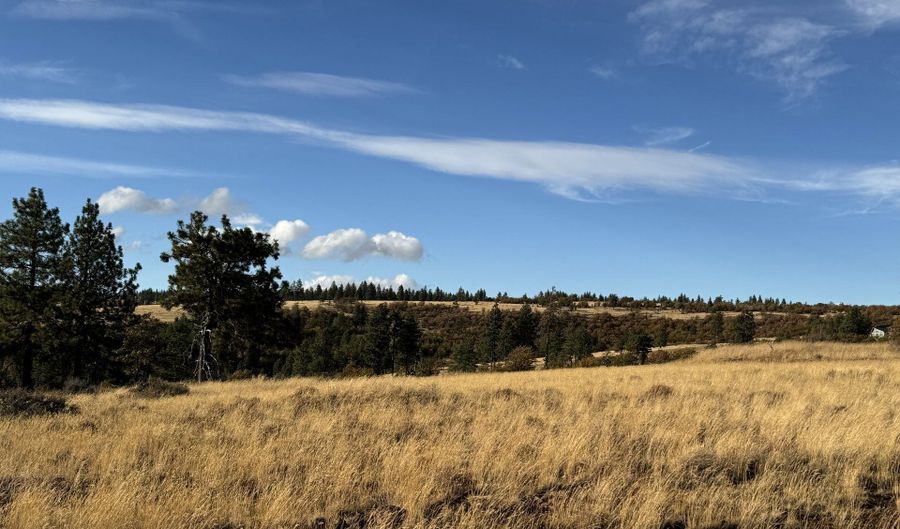 0 JENSEN QUARRY Rd, Bickleton, WA 99322 - 0 Beds, 0 Bath