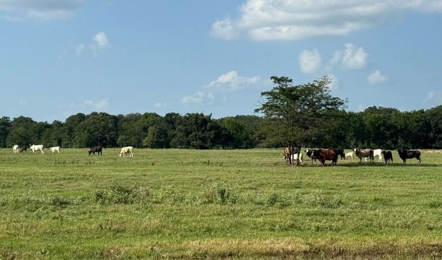Tbd E Fm 2795, Alba, TX 75410 - 0 Beds, 0 Bath