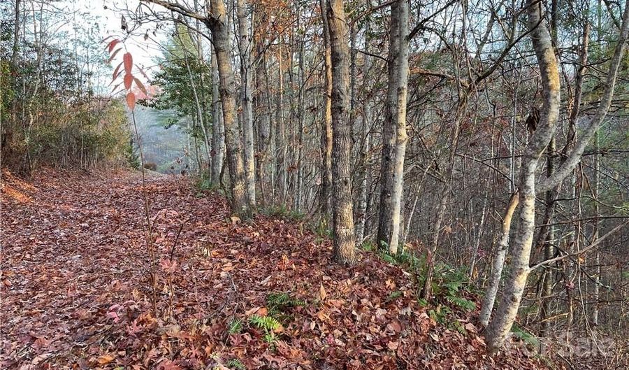 Kimiko Lane lot 43, Balsam Grove, NC 28708 - 0 Beds, 0 Bath