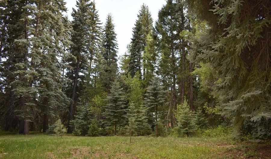 Vallecito Pl, Bayfield, CO 81122 - 0 Beds, 0 Bath