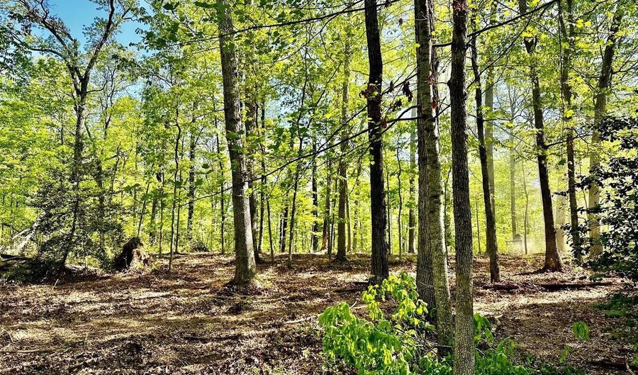 000 Lot 4 TAPPS FORD Rd, Amissville, VA 20106 - 0 Beds, 0 Bath