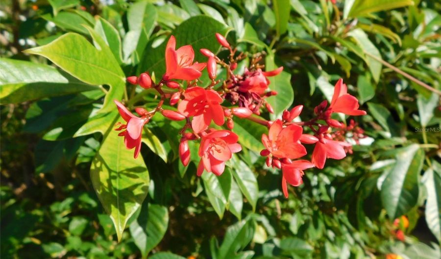 11739 SW LEMON Ave, Arcadia, FL 34269 - 2 Beds, 2 Bath