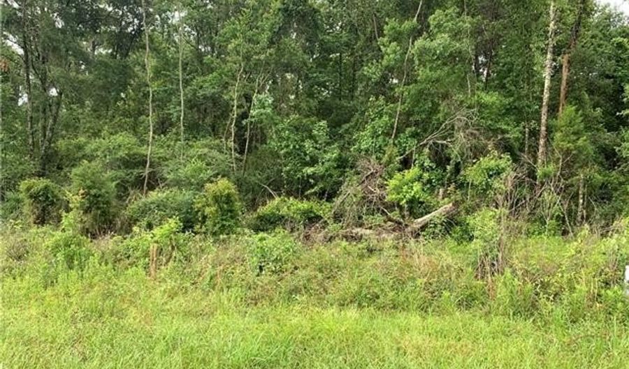 E HWY 16 Highway, Amite, LA 70422 - 0 Beds, 0 Bath