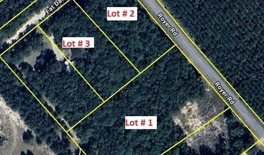 Royer Road lot 1 2 3, Bishopville, SC 29010 - 0 Beds, 0 Bath