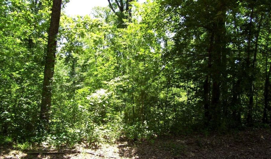 1131 LR 35, Ashdown, AR 71822 - 0 Beds, 0 Bath
