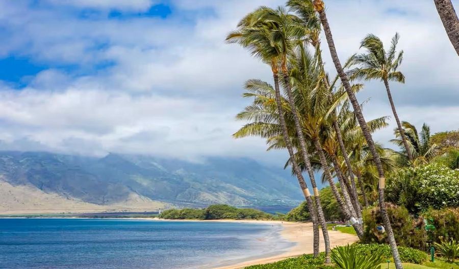 938 S Kihei Rd 124, Kihei, HI 96753 - 1 Beds, 1 Bath