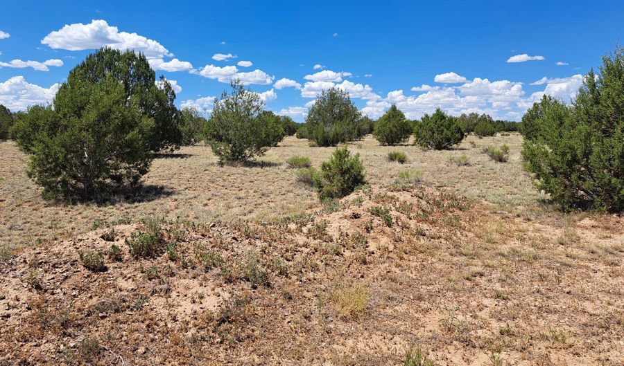 20614014 E W Isabella Ln, Ash Fork, AZ 86032 - 0 Beds, 0 Bath