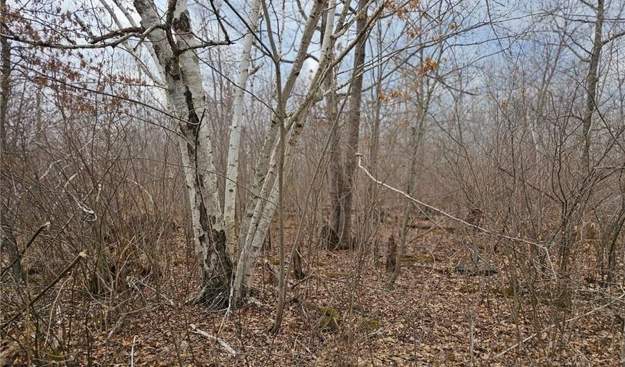 51935 Cloverton Rd, Arna Twp., MN 55072 - 0 Beds, 0 Bath