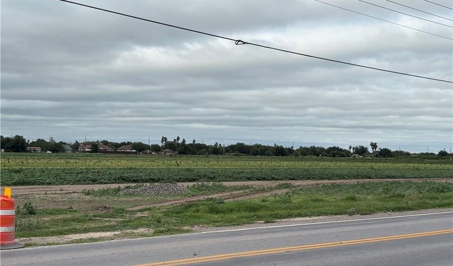 N Cesar Chavez Road, Alamo, TX 78516 - 0 Beds, 0 Bath