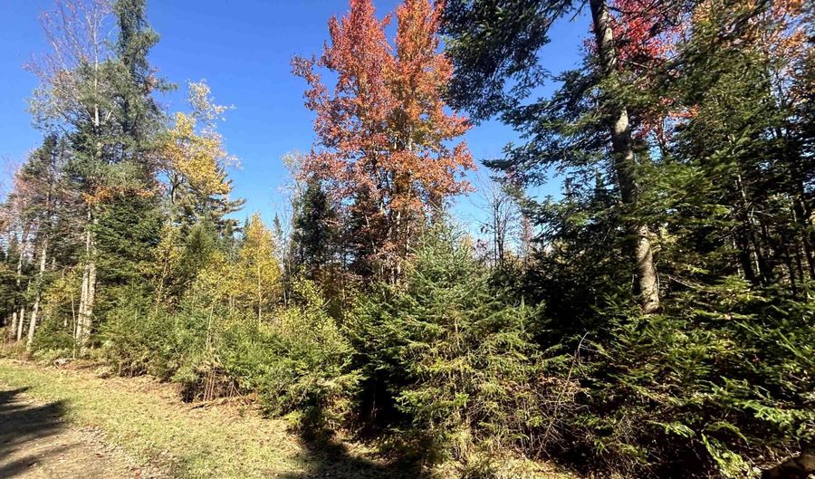 Atwood Road lot 2, Brighton, VT 05846 - 0 Beds, 0 Bath