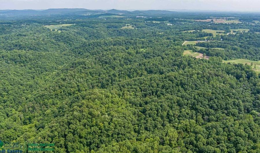 Tract # 3 Willis Creek Rd, Albany, KY 42602 - 0 Beds, 0 Bath