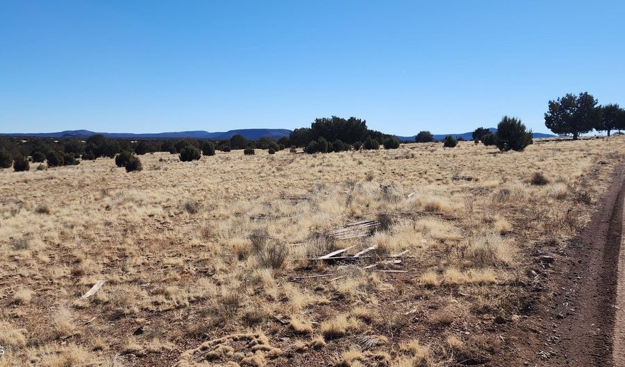 True Grit lot 55A, Ash Fork, AZ 86320 - 0 Beds, 0 Bath