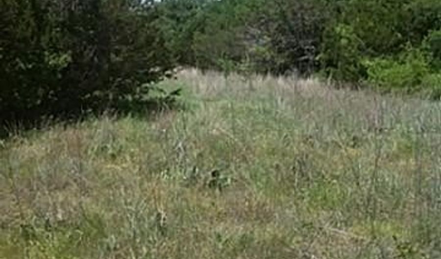 0000 FM 1602, Hico, TX 76457 - 0 Beds, 0 Bath