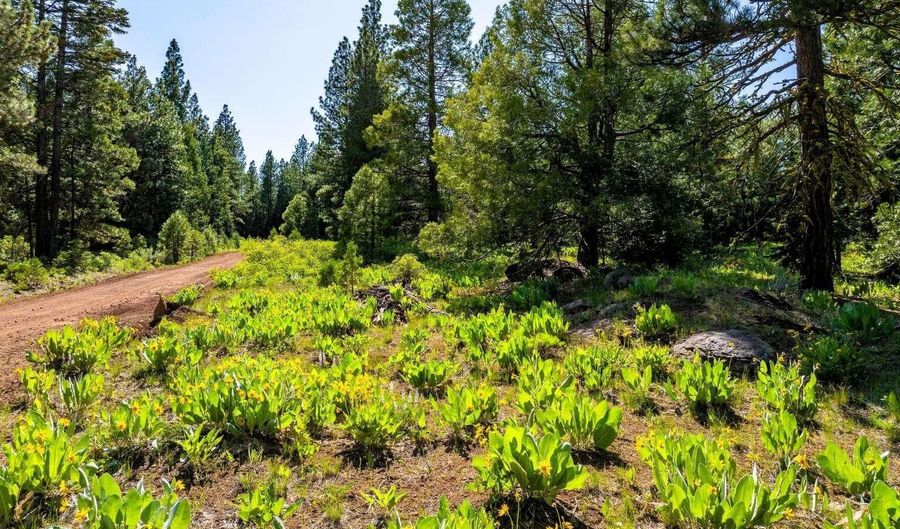 9454 Ridge Rd, Alturas, CA 96101 - 0 Beds, 0 Bath