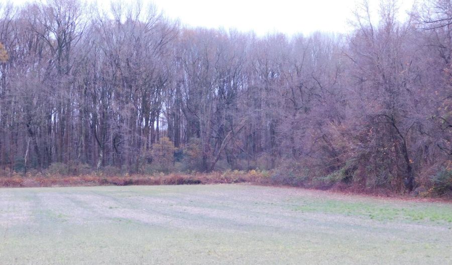 HALLTOWN Road, Hartly, DE 19953 - 0 Beds, 0 Bath