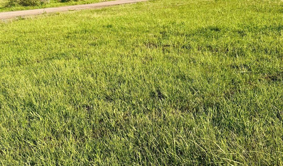 Paul Road lot 1, Browning, MT 59417 - 0 Beds, 0 Bath