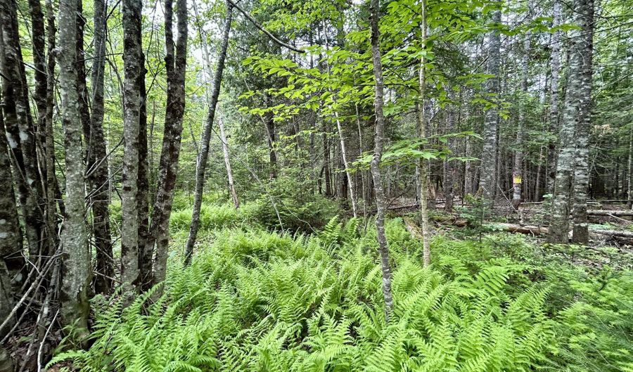 M5 L27-3 Marks Road, Albion, ME 04910 - 0 Beds, 0 Bath