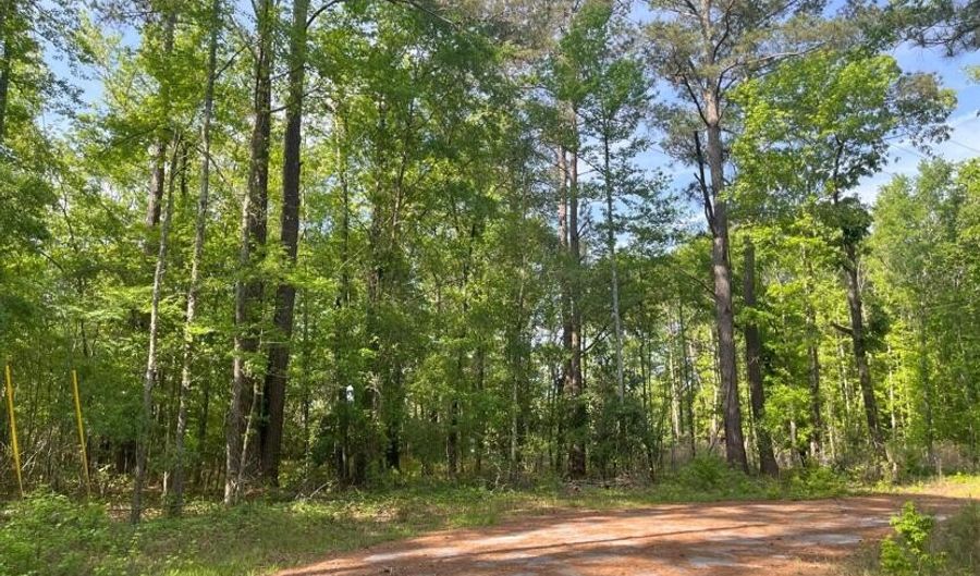 Robin Drive, Bamberg, SC 29003 - 0 Beds, 0 Bath