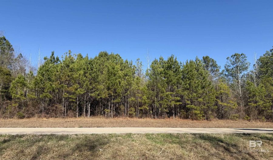 Alabama Highway 47, Beatrice, AL 36425 - 0 Beds, 0 Bath