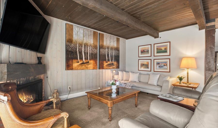 600 E Main St 207, Aspen, CO 81611 - 2 Beds, 2 Bath