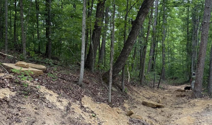 Ashland Camp Loop lot 167, Beattyville, KY 41311 - 0 Beds, 0 Bath