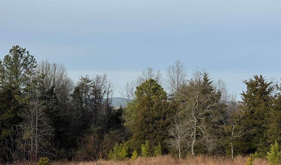 Watt Abbitt Road, Appomattox, VA 24522 - 0 Beds, 0 Bath