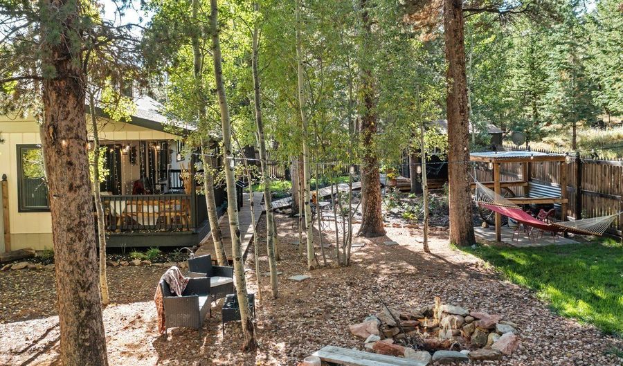 11982 Peak To Peak Dr, Allenspark, CO 80510 - 3 Beds, 3 Bath