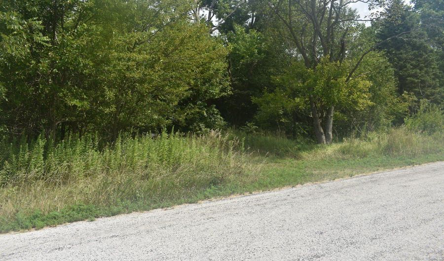 1460 E, Arcola, IL 61910 - 0 Beds, 0 Bath