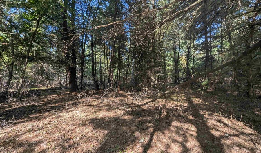 N Forest Lake Drive, Alger, MI 48610 - 0 Beds, 0 Bath