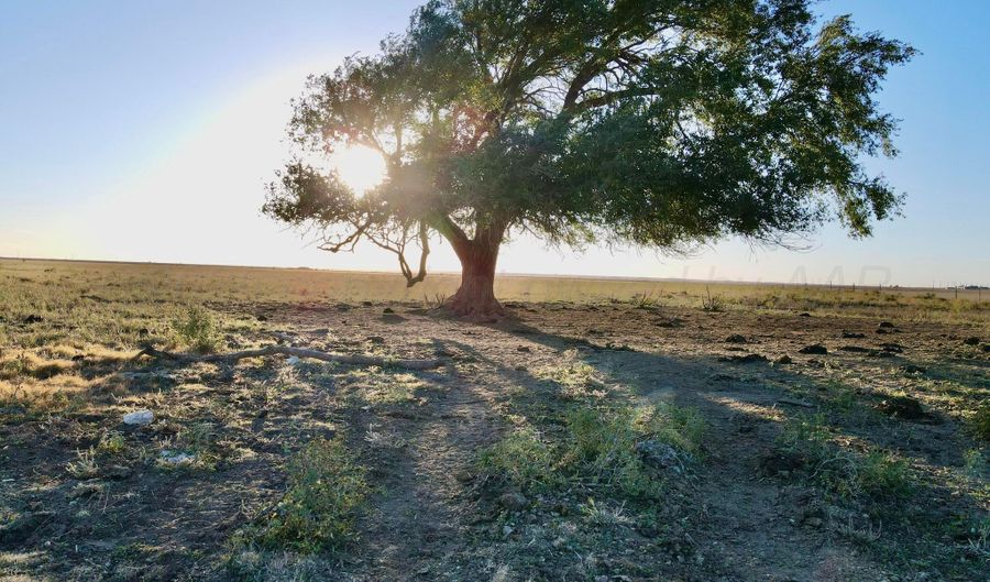 State Highway 214, Adrian, TX 79001 - 0 Beds, 0 Bath