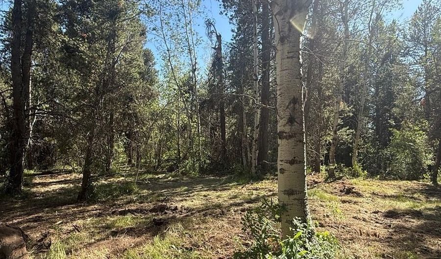 4376 Granite Rdg, Ashton, ID 83420 - 0 Beds, 0 Bath