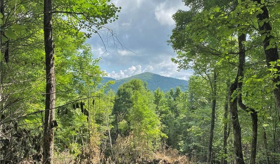 Tract 3 Spring Mountain Trail, Boone, NC 28607 - 0 Beds, 0 Bath