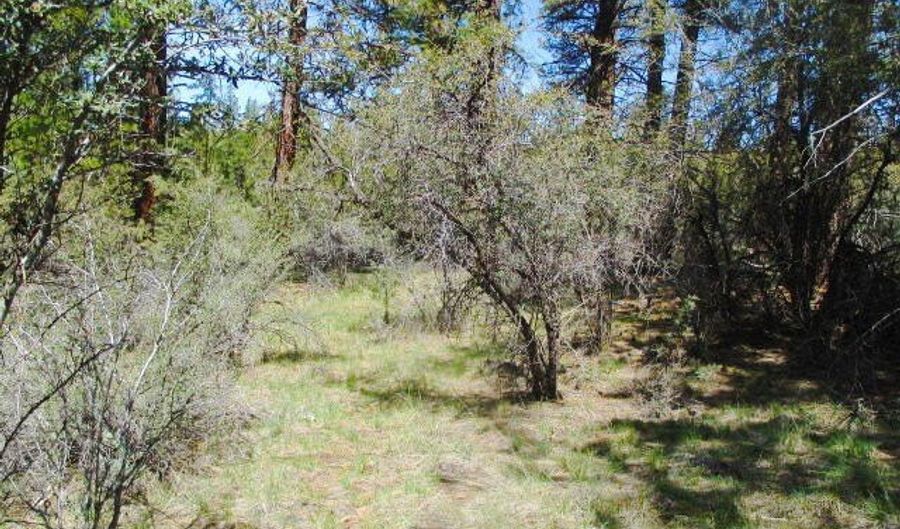 Jaguar Lane 29, Bonanza, OR 97623 - 0 Beds, 0 Bath
