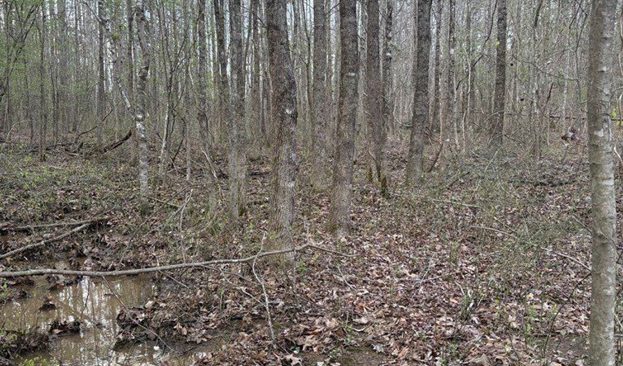Hwy 9, Blue Springs, MS 38828 - 0 Beds, 0 Bath