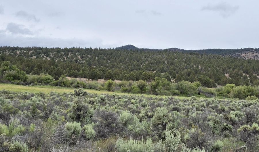 River Bank Drive, Beatty, OR 97621 - 0 Beds, 0 Bath