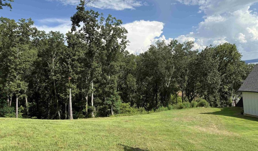 Lot 113 Boathouse Drive, Guntersville, AL 35976 - 0 Beds, 0 Bath