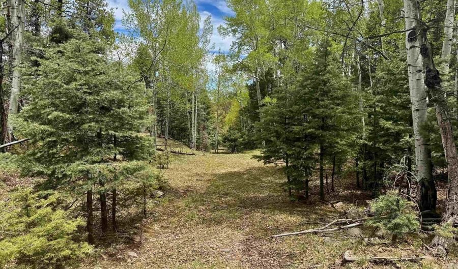 Lot 455 El Camino Real, Angel Fire, NM 87710 - 0 Beds, 0 Bath
