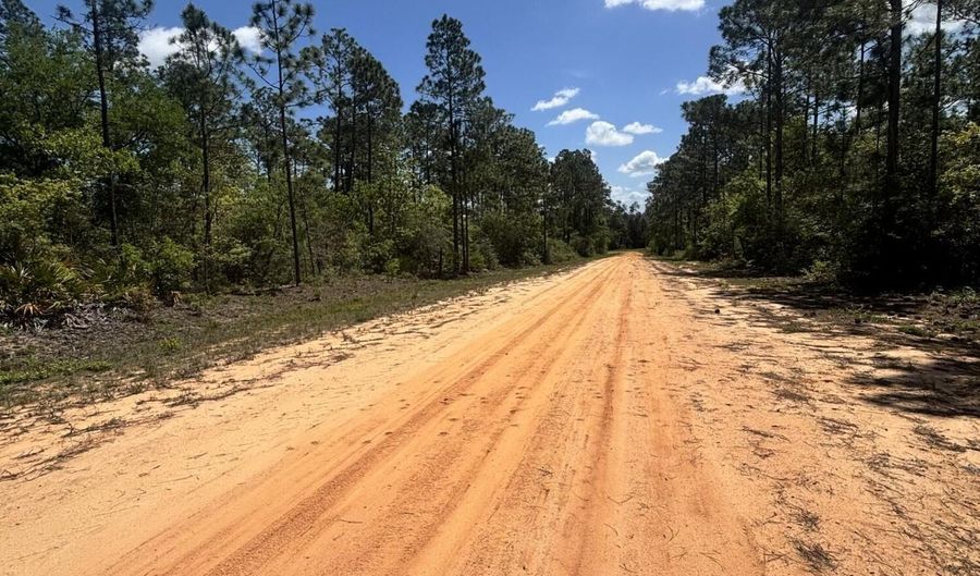 Fremont Avenue, Alford, FL 32420 - 0 Beds, 0 Bath