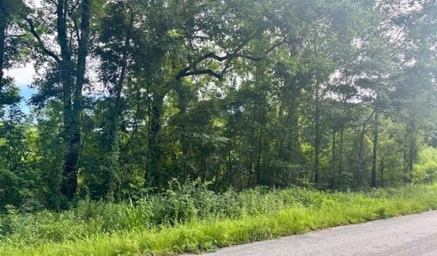 8946 Anderson Rd, Adams Run, SC 29426 - 0 Beds, 0 Bath