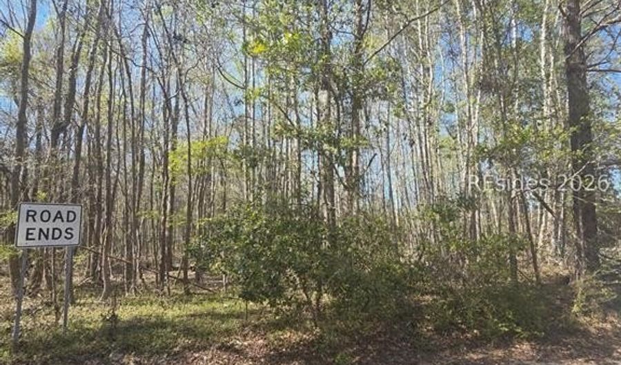 Freeman Street lot 5, Brunson, SC 29911 - 0 Beds, 0 Bath