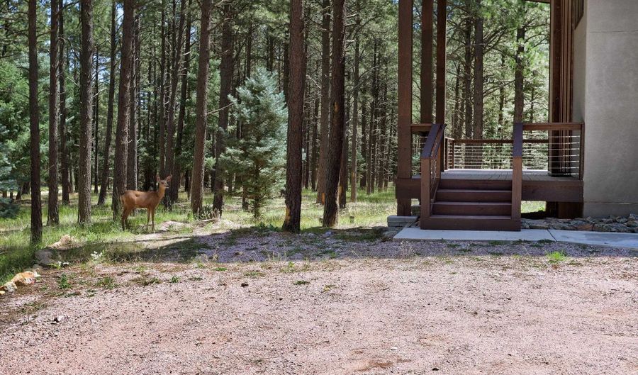39 San Andres Dr, Angel Fire, NM 87710 - 3 Beds, 2 Bath