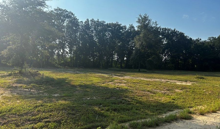 Bauman Rd, Ashford, AL 36312 - 0 Beds, 0 Bath