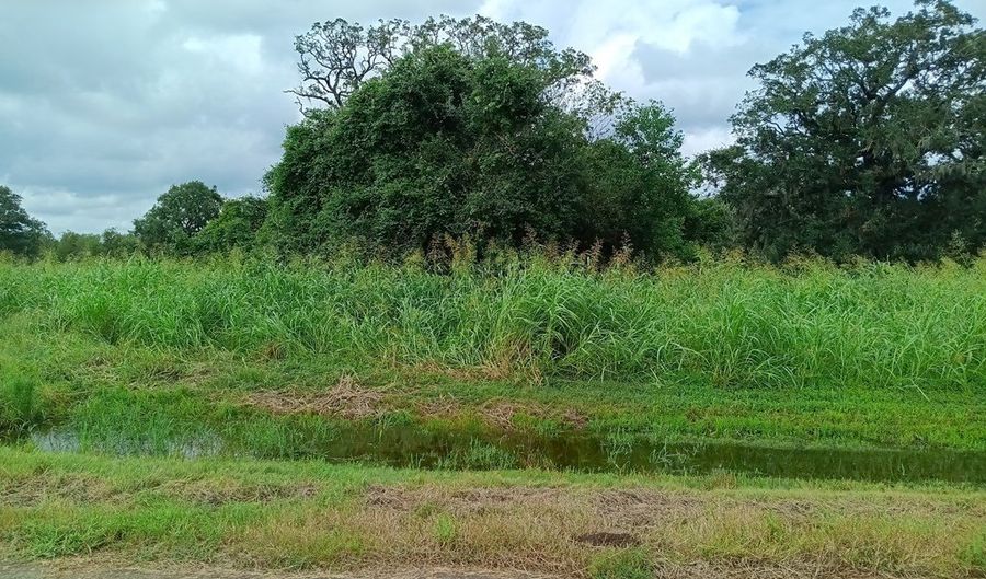 PONY TRAIL, Angleton, TX 77515 - 0 Beds, 0 Bath