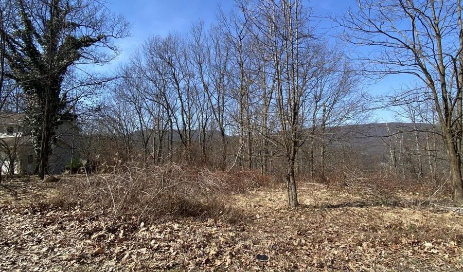 Ivyside Estates Ln Lots 27-29, Altoona, PA 16601 - 0 Beds, 0 Bath