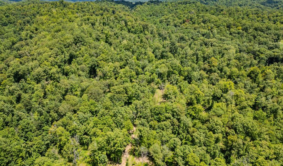 2291 Blankey Branch Rd, Beattyville, KY 41311 - 0 Beds, 0 Bath