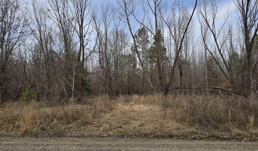 Williams Road, Bald Knob, AR 72010 - 0 Beds, 0 Bath