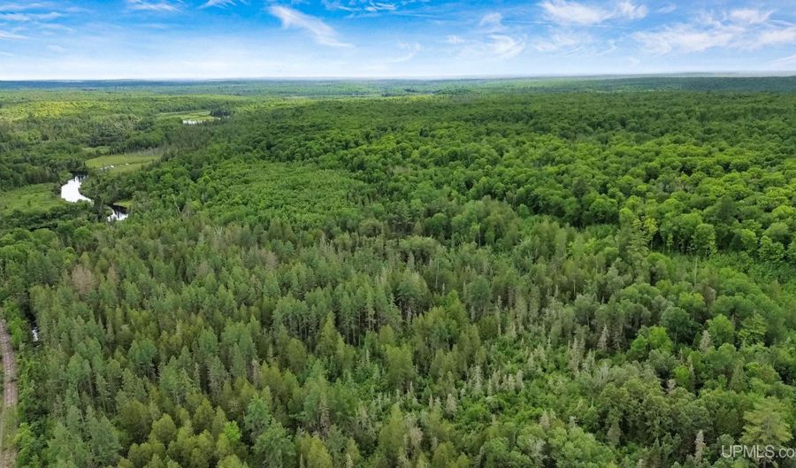 40 Acres Wide Waters Rd, Amasa, MI 49902 - 0 Beds, 0 Bath