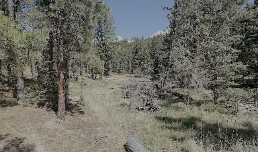 Calle de los Indios lot 58, Angel Fire, NM 87710 - 0 Beds, 0 Bath